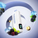 Vapepie Powergo 9800 Puffs Blackberry Ice