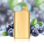 Alibarbar Rich 8000 Puffs – Blueberry Ice