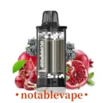Blackberry cherry Pomegranate Ice – GUNNPOD – 8000Puffs