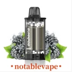 Gunnpod moss Blackberry Ice “pod”