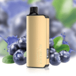 ALIBARBAR INGOT 9000 PUFFS – Blueberry Mint