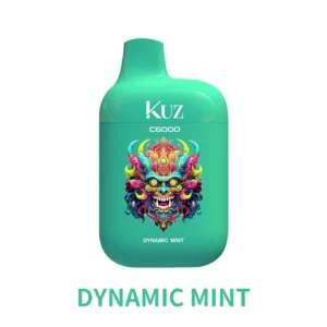 KUZ C6000 PUFFS – DYNAMIC MINT