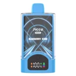Picco Break 30000 Puffs – Blueberry Kiwi