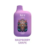 KUZ C6000 PUFFS – RASPBERRY GRAPE