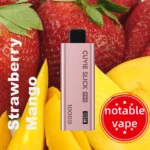 HQD Slick Pro – Strawberry Mango – 10,000