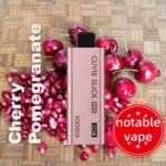 HQD Slick Pro – Cherry Pomegranate – 10,000