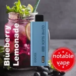 HQD Slick Pro – Blueberry Lemonade – 10,000