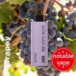 HQD Slick Pro – Grapey – 10,000