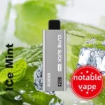 HQD Slick Pro – Ice Mint – 10,000